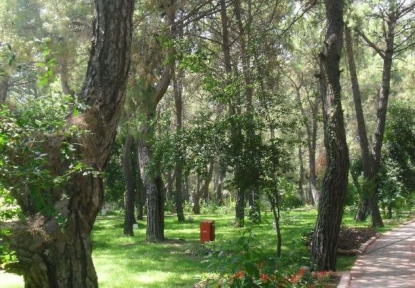 Club Pınara